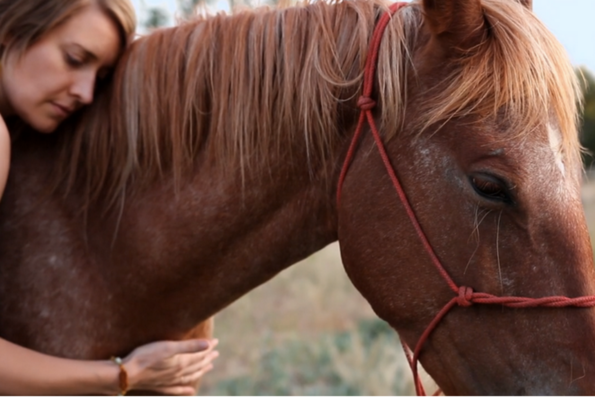 Ane Axford with a Horse